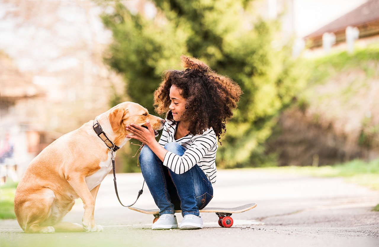 pet policy at The Arbors Apartment Homes in Tucker, Georgia